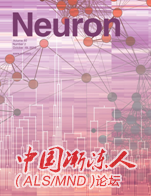 Neuron.png