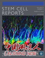 Stem Cell Reports.png