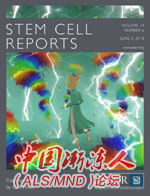 Stem Cell Reports.png