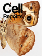 Cell Reports.png