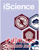 iScience.png